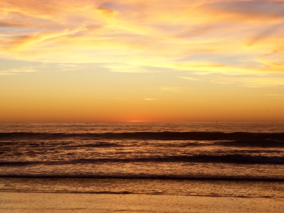 california dreaming