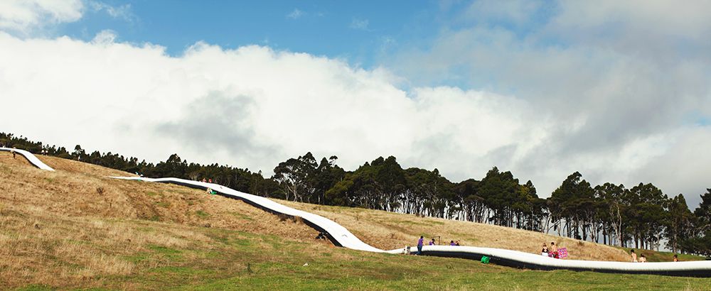 World's Biggest Waterslide LMA Papaya Stories