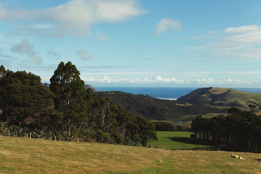 World's Biggest Waterslide LMA Papaya Stories
